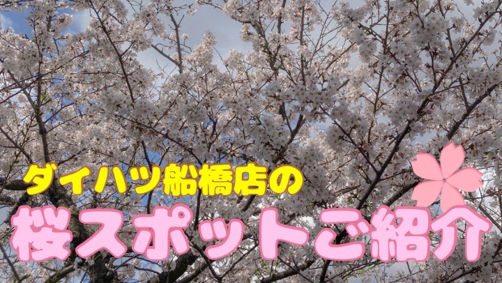 🌸桜スポットのご紹介🌸